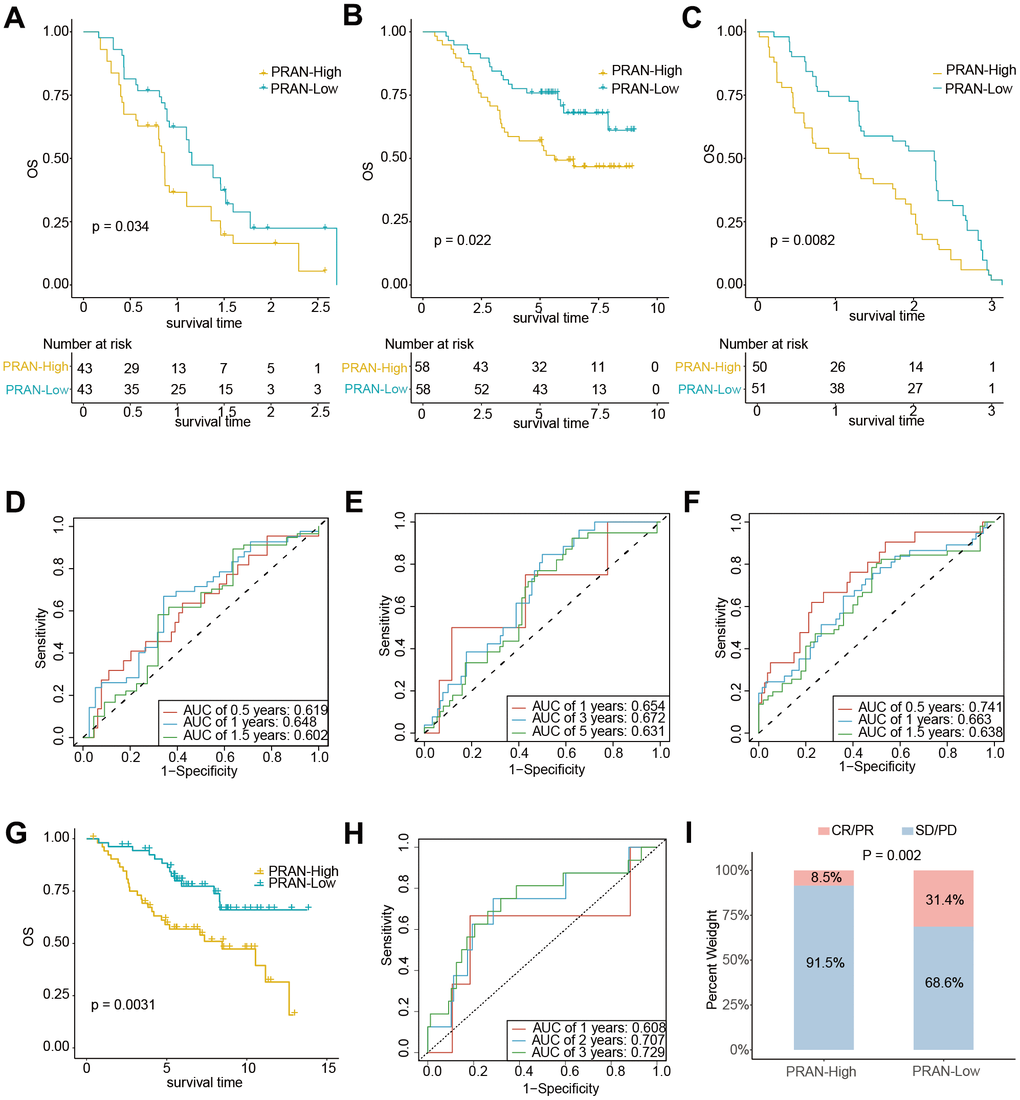 The predicting performance validation of the PRAN risk model in multiple GEO cohorts. (A–C) Kaplan-Meier survival analysis in NSCLC validation cohort GSE61676, GSE13213, and GSE91061. (D–F) Time-dependent ROC curves between PRAN-High and PRAN-Low groups in validation cohort GSE61676, GSE13213, and GSE377453. (G) Kaplan-Meier survival analysis in validation cohort GSE74777. (H) Time-dependent ROC curves between PRAN-High and PRAN-Low groups in validation cohort GSE74777. (I) The predicting performance of immunotherapeutic efficiency of PRAN risk model in the GSE91061 cohort.