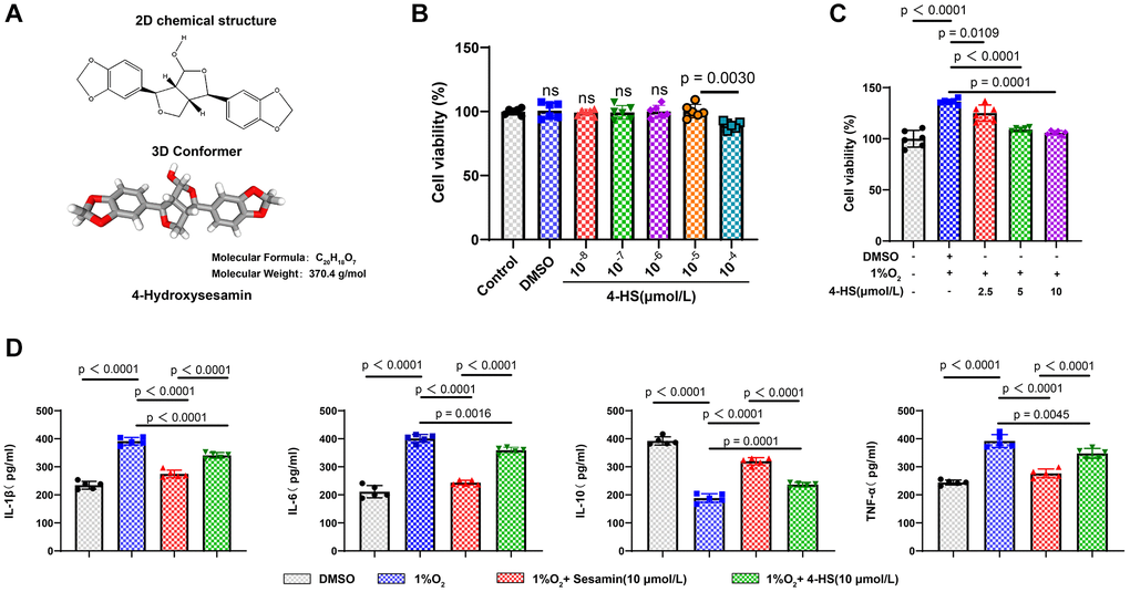 Effect of Sesamin and 4-HS on the inflammatory response to PASMC cell viability. (A) 2D and 3D molecular structural formulae of 4-HS and the relative molecular mass of 4-HS. (B) CCK8 assay to detect the effect of different concentrations of 4-HS on cellular value-added after acting on PASMC for 24 h. (C) CCK8 assay to detect the effect of 4-HS on the cell viability of PASMC in inflammatory and hypoxic environments. (D) ELISA assay to detect changes in expression of inflammatory factors IL-1β, IL-6, IL-10, and TNF-α in inflammatory and hypoxic environments under 4-HS expression changes of inflammatory factors IL-1β, IL-6, IL-10, and TNF-α after 24 h of 4-HS treatment.