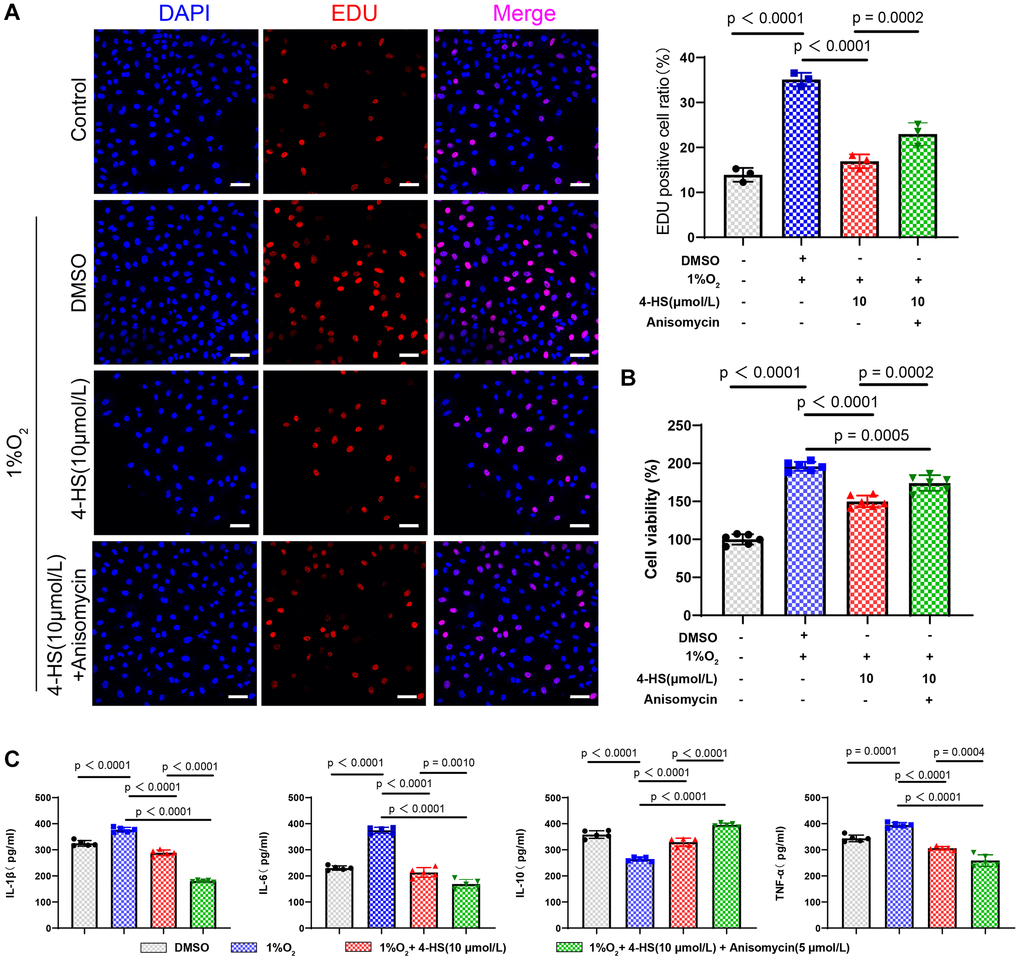 4-HS protects PASMC in inflammatory stimuli and hypoxic environments. (A) EDU staining to detect changes in the proliferative capacity of treated PASMC (Scale bar, 50 μm). (B) CCK8 assay to detect changes in the proliferative capacity of PASMC after treatment with 4-HS PASMC treated with 4-HS and Anisomycin for 24 h. (C) ELISA assay to detect changes in the expression of inflammatory factors IL-1β, IL-6, IL-10, and TNF-α in PASMC treated with 4-HS in combination with Anisomycin for 24 h in LPS and hypoxia-stimulated environments.