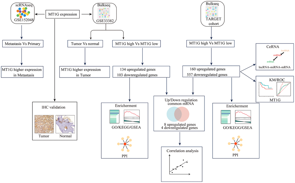 Research flowchart. The research process of this study is depicted in Figure 1.