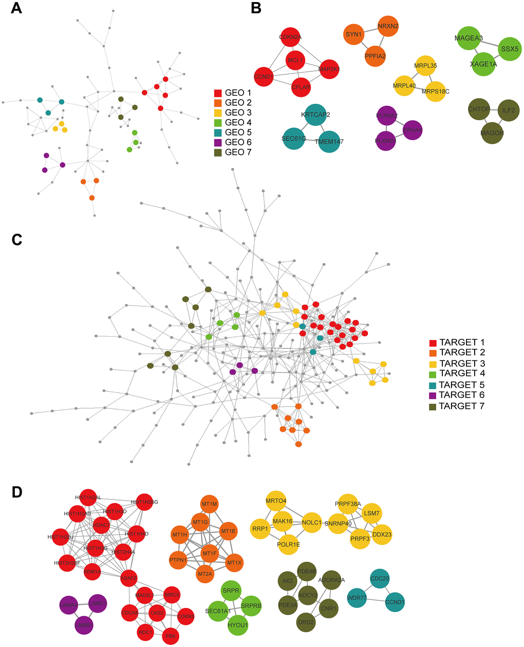 PPI and hub gene cluster network construction. (A) A PPI network from the GSE33382 data set. (B) Seven hub gene clusters obtained by the MCODE clustering algorithm from the GSE33382 data set. (C) A PPI network from the TARGET data set. (D) Seven hub gene clusters obtained by the MCODE clustering algorithm from the TARGET data set.