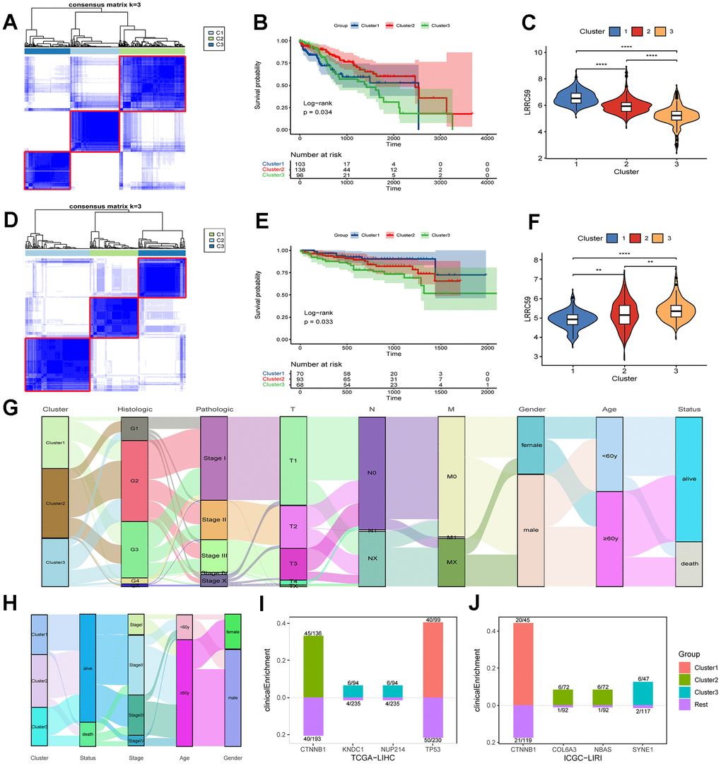 The prognosis of HCC subtypes with LRRC59 overexpression is poor. (A–C) The TCGA-LIHC dataset was clustered and subtyped, and the relationship between LRRC59 expression and prognosis in each subtype was analyzed. (D–F) The ICGC-LIRI dataset was clustered and subtyped, and the relationship between LRRC59 expression and prognosis in each subtype was analyzed. (G, H) Visualization of clinical characteristics of each HCC subtype. (I, J) Clinical enrichment analysis of mutations in each HCC subtypes.