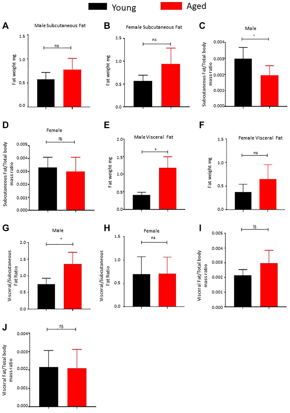 Effect of age on body fat distribution. (A, B) Subcutaneous adipose tissue was surgically excised from male (A) and female (B) mice and weighed (n = 5). (C, D) Subcutaneous fat and total body mass were measured and the ratio was calculated and plotted (n = 5). (E, F) Visceral fat was surgically excised from male (E) and female (F) mice and weighed (n = 5). (G, H) Ratio of subcutaneous to visceral fat mass was calculated for male (G) and female (H) mice and plotted. (I, J) Ratio of visceral fat mass to total body mass was calculated and plotted. P value *, ns = non-significant.