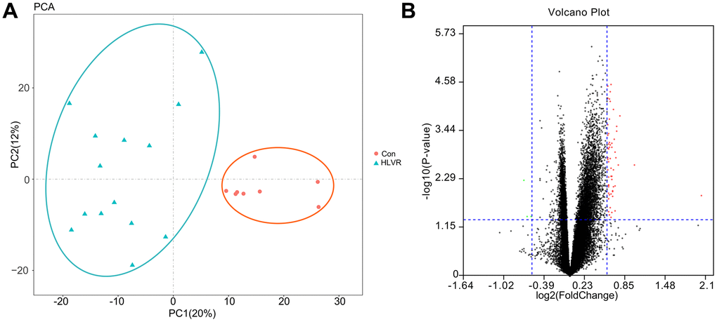 The repeatability test for data and screening of DEGs. (A) Principal component analysis. (B) A volcano map showing DEGs.