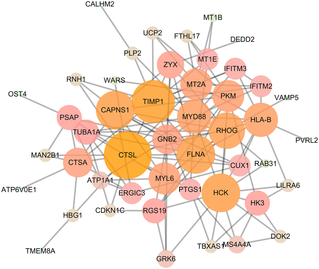 PPI network, including 128 edges and 47 nodes.