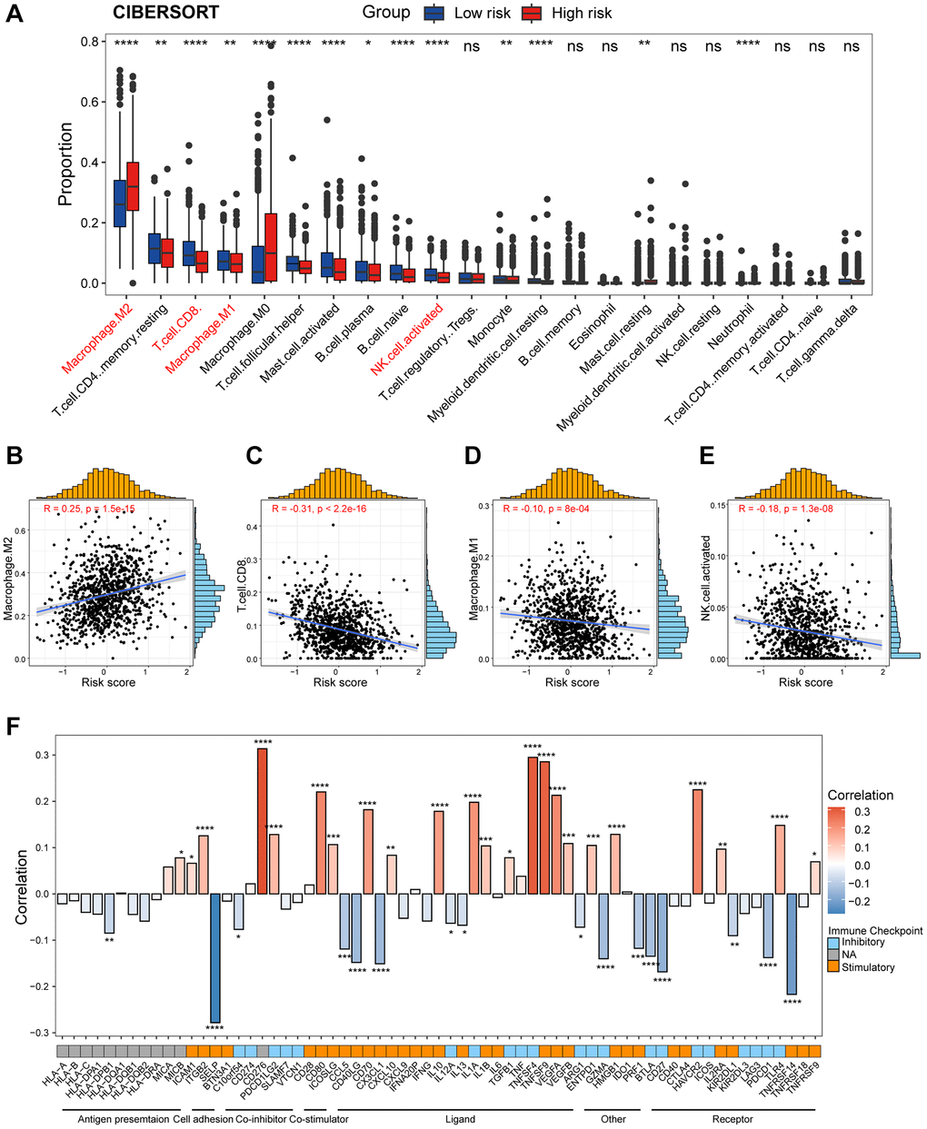 Dissection of tumor immune microenvironment features between high/low-risk group. (A) Boxplots showing the proportion of 22 immune cells in high/low-risk groups of breast cancer estimated by CIBERSORT. Paired two-sided Wilcoxon test. (B–E) Scatter plots showing the correlation between the risk score and the proportion of M2 macrophages, CD8+ T cells, M1 macrophages, and activated NK cells. (F) Bar plot of the correlation between immunomodulators and the risk score in TCGA cohort. The asterisks represent the statistical P-value (*p **p ***p ****p nsp > 0.05).