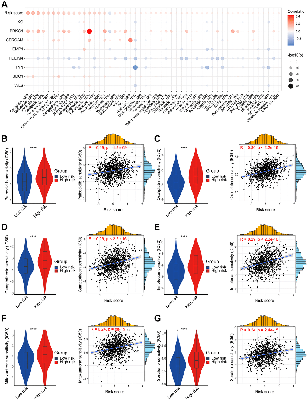 High- and low-risk group patients differ in drug sensitivity. (A) Bubble plot showing the relationship between IC50 of drugs, risk score, and model genes. (B) Boxplot showing the comparison of IC50 of Palbociclib between high/low-risk groups, and scatter plot showing the correlation between the IC50 of drug and risk score. (C) Boxplot showing the comparison of IC50 of Oxaliplatin between high/low-risk groups, and scatter plot showing the correlation between the IC50 of drug and risk score. (D) Boxplot showing the comparison of IC50 of Camptothecin between high/low-risk groups, and scatter plot showing the correlation between the IC50 of drug and risk score. (E) Boxplot showing the comparison of IC50 of Irinotecan between high/low-risk groups, and scatter plot showing the correlation between the IC50 of drug and risk score. (F) Boxplot showing the comparison of IC50 of Mitoxantrone between high/low-risk groups, and scatter plot showing the correlation between the IC50 of drug and risk score. (G) Boxplot showing the comparison of IC50 of Sorafenib between high/low-risk groups, and scatter plot showing the correlation between the IC50 of drug and risk score. The asterisks represent the statistical P-value (****p 