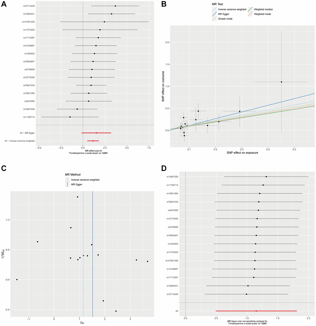 The causal association between plasma Trimethylamine N-oxide and GBM. (A). Forest plot illustrating ORs and 95% CIs for the association, with individual SNPs represented by black squares and their CIs by horizontal lines; the pooled OR is indicated by a red line. (B) Scatter plot showing SNP effects on TMAO levels versus GBM risk, with lines for different MR methods showing the causal relationship’s direction and strength. (C) MR-Egger intercept test assessing horizontal pleiotropy, where the x-axis intercept value indicates pleiotropy presence, and the I² statistic on the y-axis shows instrumental variable heterogeneity; a vertical blue line shows the null intercept, suggesting no pleiotropy. (D) Leave-one-out sensitivity analysis indicating the stability of the causal estimate across SNPs, with a consistent overall estimate shown by a red line, suggesting no individual SNP significantly alters the MR estimate.