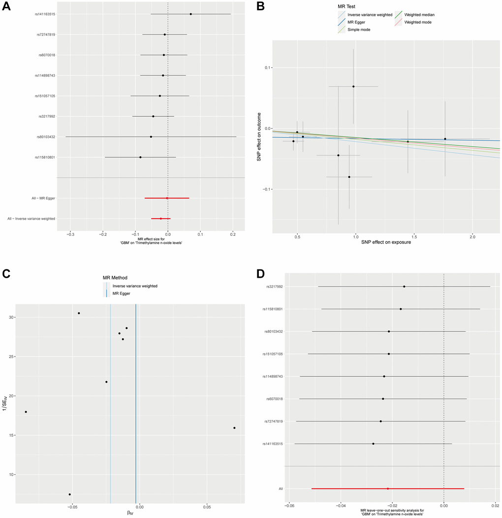 Analysis of GBM Impact on plasma Trimethylamine N-oxide levels via reverse MR. (A). Forest plot for the reverse MR analysis of GBM’s effect on Trimethylamine N-oxide levels. (B) This scatter plot maps the SNP effects on GBM against their effects on plasma Trimethylamine N-oxide levels, applying various MR methods. (C) Displayed is the MR-Egger intercept test for the reverse MR analysis. The proximity of the intercept to the zero line and the lack of deviation indicates no evidence of horizontal pleiotropy in the analysis. (D) The leave-one-out sensitivity analysis for the reverse MR is shown here, demonstrating the effect size stability when each SNP is sequentially excluded.