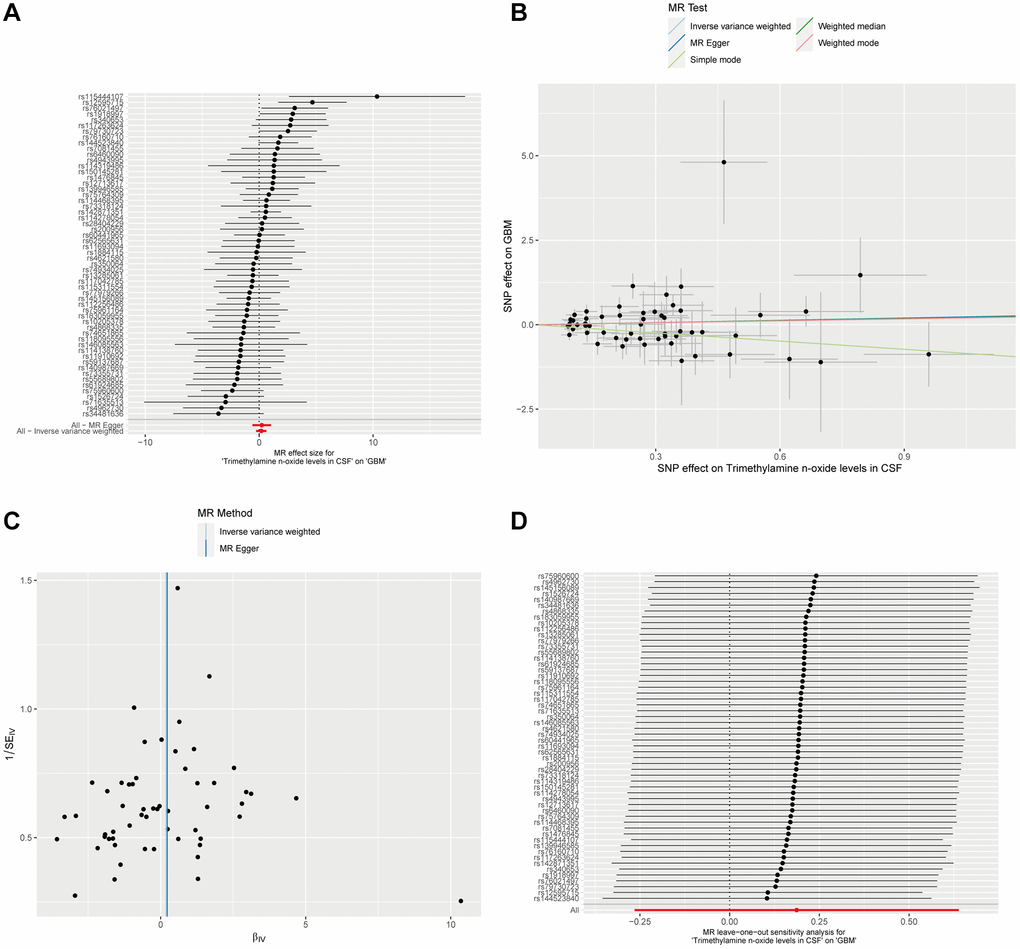 Mendelian Randomization analysis of CSF Trimethylamine N-oxide levels and GBM. (A) The forest plot displays the estimated effects of individual SNPs of CSF Trimethylamine N-oxide levels on the risk of GBM. (B) The scatter plot maps the effects of SNPs on Trimethylamine N-oxide levels in CSF against their influence on GBM. (C) The MR-Egger intercept test for pleiotropy indicates the intercepts near zero, implying no significant horizontal pleiotropy that would undermine the validity of the instrumental variables used. (D) A leave-one-out sensitivity analysis shows stability in the causal estimation; removing individual SNPs does not alter the overall inference, as indicated by the clustering around the null line, underscoring the non-causal relationship between CSF Trimethylamine N-oxide levels and GBM.