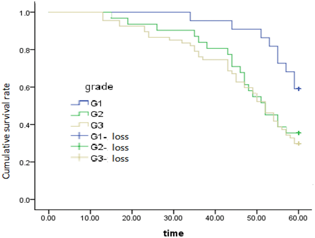 Survival curve of tumor differentiation on overall survival, P = 0.024.