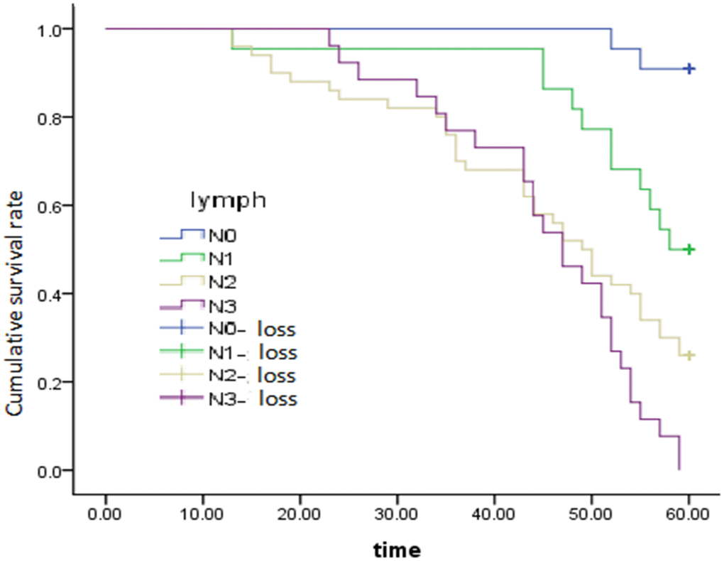 Survival curve of lymphatic and metastatic effects on overall survival, P = 0.005.