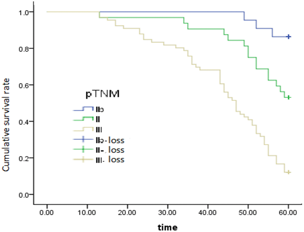 Graph of the effect of postoperative pathological staging on overall survival, P = 0.002.