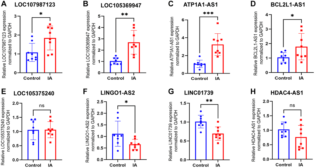 Expression levels of eight LncRNAs in control and IA plasm exosome identified using qRT-PCR. (A) LOC107987123, (B) LOC105369947, (C) ATP1A1-AS1, (D) BCL2L1-AS1, (E) LOC105375240, (F) LINGO1-AS2, (G) LINC01739, and (H) HDAC4-AS1. Data are presented as mean ± standard deviation. All data were analysed using unpaired Student’s t-test. An asterisk denotes a significant difference between two groups (*p **p ***p 