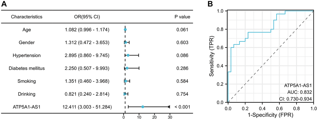 Expression of exosomal ATP1A1-AS1 as a novel biomarker for IA. (A) Multivariate logistic regression analysis of plasma exosomal ATP1A1-AS1 expression levels in IA patients. (B) ROC curves of exosomal ATP1A1-AS1 expression.