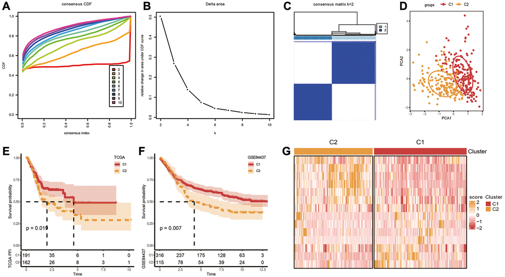 Identification of molecular subtypes. (A) Cumulative distribution function. (B) Delta area. (C, D) Heatmap and PCA plots of sample clustering when k = 2 in TCGA-STAD. (E, F) K-M survival analysis of C1 and C2 in TCGA-STAD and GSE84437 datasets. (G) Expression levels of 14 genes in C1 and C2 subtypes based on TCGA-STAD dataset.