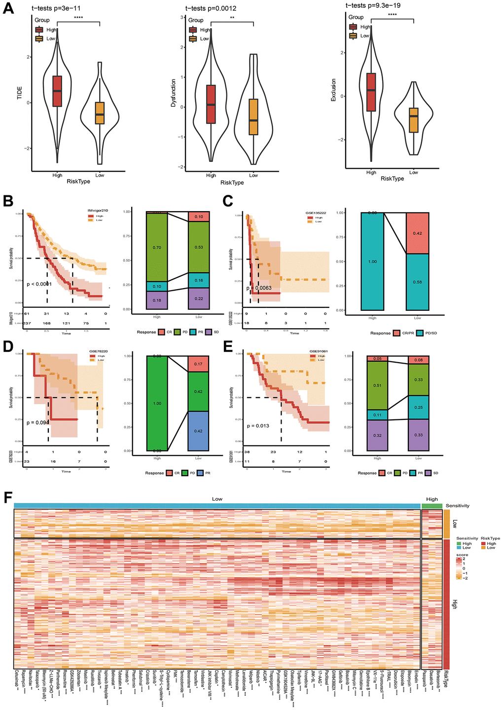 Immunotherapy and drug sensitivity assessment. (A) TIDE score between high- and low-risk groups. (B–E) Riskscore survival curve and immunotherapy distribution in IMvigor210, GSE135222, GSE78220 and GSE91061 datasets. (F) Differential heatmap analysis of 62 chemotherapeutics in high and low riskscore groups. *p **p ***p ***p 