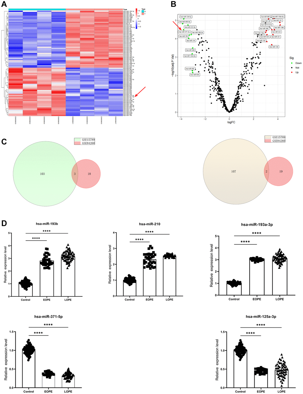 MiR-371-5p expression is decreased in patients with preeclampsia. (A, B) Volcano plot and heatmap showing DEGs in GSE15789 (n = 215, P C) The GSE15789 and GSE84260 datasets’ upregulated (left panel) and downregulated genes (right panel) are shown in Venn diagrams. (D) The present study involved the utilization of RT-PCR in analyzing the expression levels of hsa-miR-193b, hsa-miR-210, hsa-miR-193a-3p, hsa-miR-371-5p, and hsa-miR-125a-3p in the placenta. Control, n = 71; EOPE, n = 34; and LOPE, n = 55. ****P 