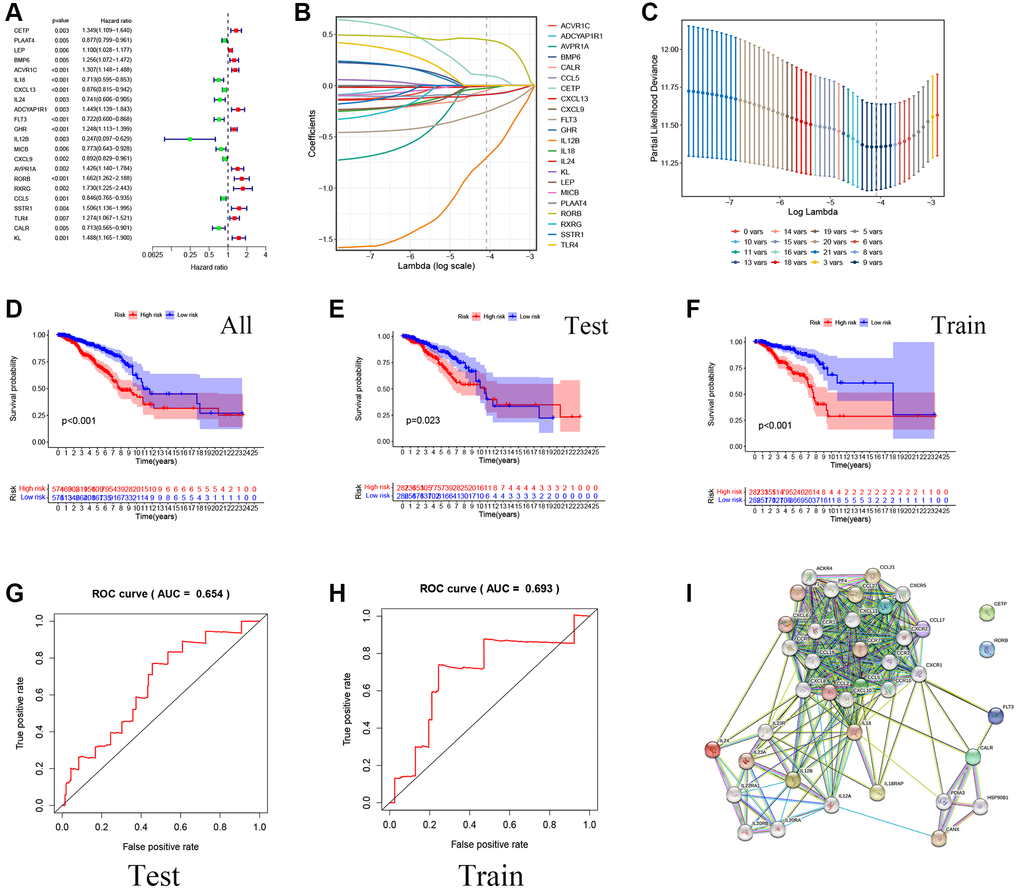 Construction of a prognostic model for Breast cancer patients based on immune-related and lipid metabolism-related DEGs. (A) The forest map shows the results of single factor analysis. (B–C) LASSO coefficient profile analysis and cross-validation to identify the most useful prognostic genes. (D–F) Kaplan-Meier curves of OS in the TCGA cohort based on risk score. (G–H) The time-dependent ROC curves for the prognostic signature base on risk score. (I) Construction of Prognostic gene PPI network based on STRING database.