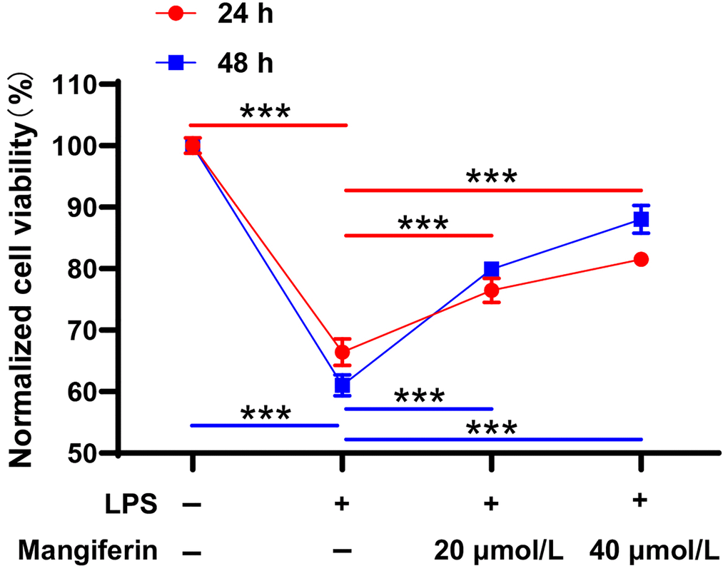 Mangiferin protects neurons from LPS injury. LPS-exposed neurons are incubated with 20 μmol/L or 40 μmol/L of mangiferin for 24 h or 48 h and then analyzed with the CCK8 assay. LPS treatment significantly affected cell viability (66.41% in 24 h, 61.07% in 48 h, ***P ***P ***P ***P 