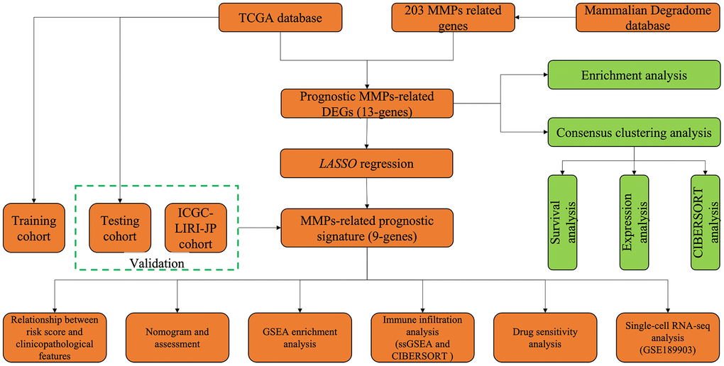 Flowchart for bioinformatics analysis in this study.