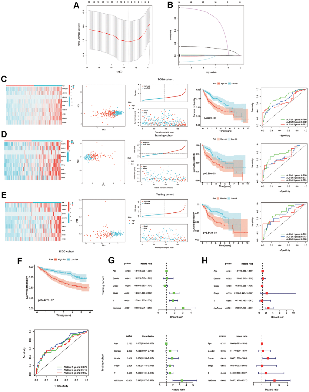 Construction and validation of the MMPs-related prognostic signature. (A) LASSO regression with tenfold cross-validation found nine prognostic genes using the minimum λ. (B) LASSO coefficient profiles of nine prognostic genes of HCC. (C, D) Heatmap, PCA plot, distribution, survival status, Kaplan-Meier curves for OS and ROC curves demonstrated the predictive efficiency of the risk score in entire, training, and testing cohorts. (E) Validation of the MMPs-related prognostic signature in the training cohort of TCGA-LIHC. (F) The validation of the MMPs-related prognostic signature in the ICGC-LIRI-JP cohort. (G) Univariate analysis of risk score and clinicopathological characteristics in the TCGA-LIHC training and testing cohorts. (H) Multivariate analysis of risk score and clinicopathological characteristics in the TCGA-LIHC training and testing cohorts.
