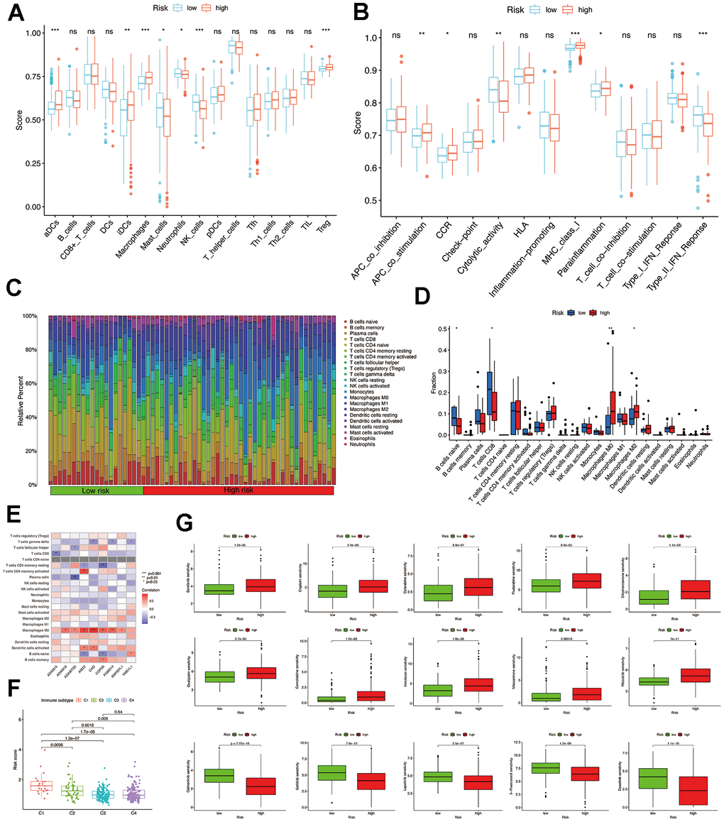 Comparison of immune infiltration and drug sensitivity analysis. (A) The scores of 16 immune cells were detected by ssGSEA analysis. (B) The scores of 13 immune-related functions were detected by ssGSEA analysis. (C, D) 22 types of immune cells were identified by CIBERSORT analysis. (E) Correlation analysis between 22 types of immune cell proportions and MMPs-related prognostic signature. (F) The risk score of various immune infiltration subtypes. (G) Sensitivity of different chemotherapeutic agents in different risk groups.