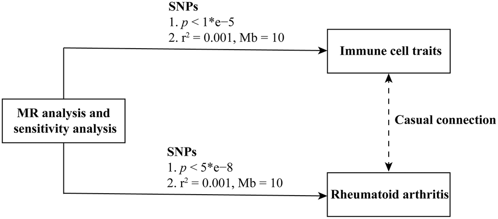 Flowchart of the study.