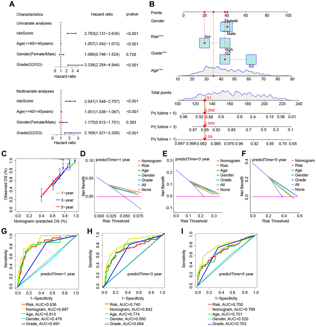 Validation of the risk model based on the TCGA cohort’s nomogram model. (A) Univariate and multivariate Cox regression forest plots in LGG. (B) Nomogram for LGG sufferers’ OS. (C) Calibration plot of the nomogram for OS probability prediction at 1, 3, and 5 years. (D–F) 1, 3, 5 years decision curve. (G–I) ROC curves for 1-, 3-, and 5-years survival prediction.