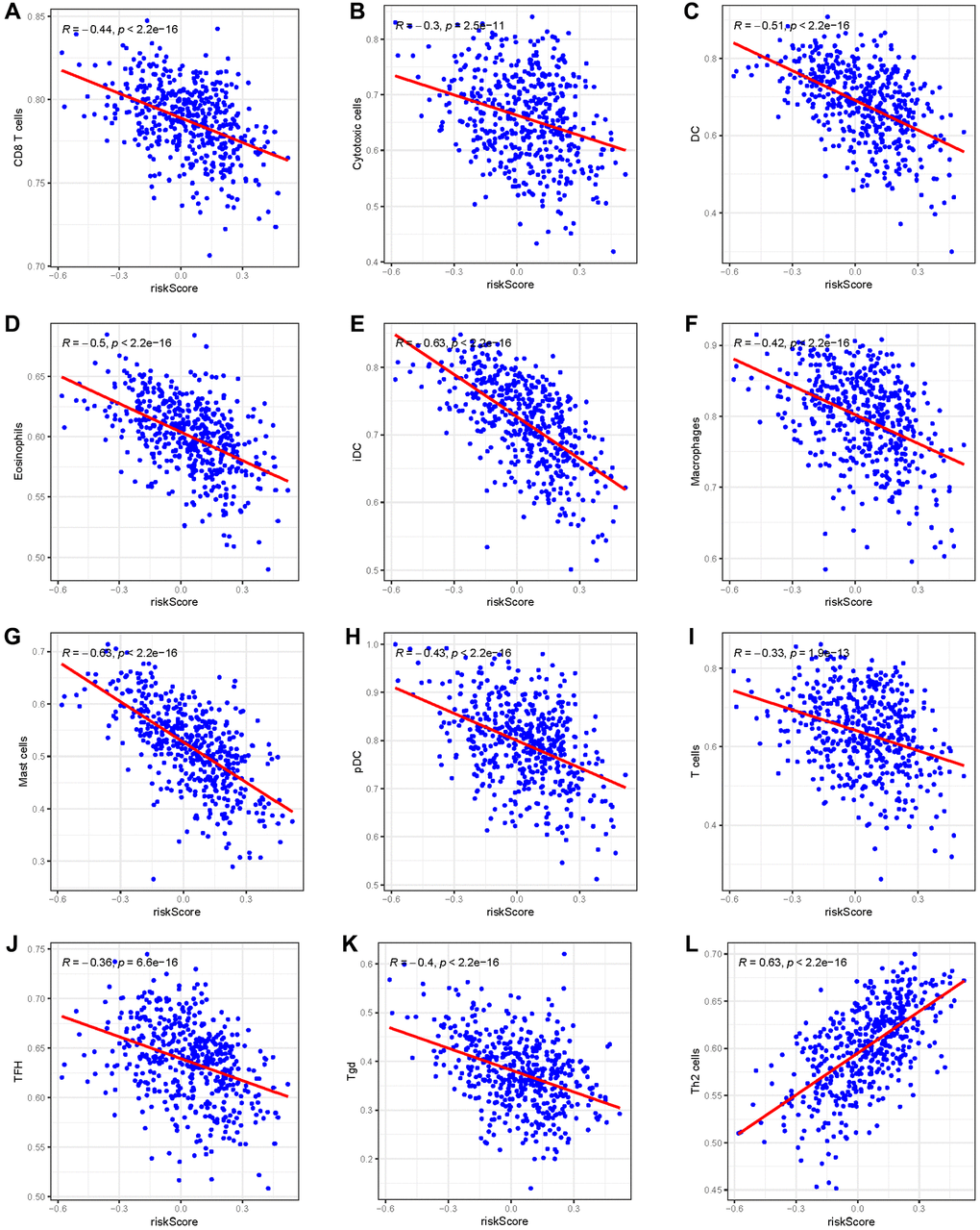 The Pearson correlation between the risk score and immune cells. (A) CD8 T cells; (B) Cytotoxic cells; (C) DC; (D) Eosinophils; (E) iDC; (F) Macrophages; (G) Mast cells; (H) pDC; (I) T cells; (J) TFH; (K) Tgd; (L) Th2 cells.