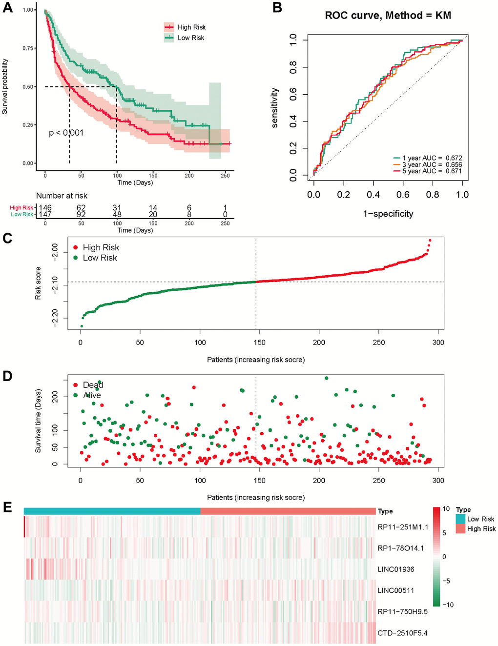 External validation of the risk score in the GSE30219 cohort. (A) The Kaplan-Meier survival analysis; (B) The time-dependent ROC analysis for the risk score in predicting the OS of patients in the GSE30219 cohort; (C, D) The risk score distribution and survival status of patients in the GSE30219 cohort; (E) The heatmap analysis.