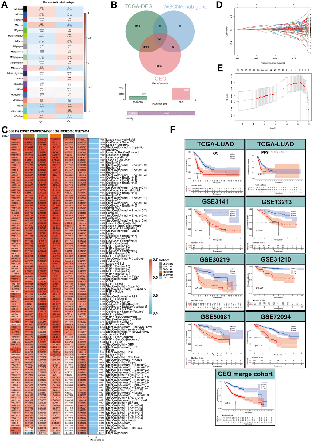Identification of MPPS-related genes by WGCNA and machine learning. (A) Correlation analysis between module eigengenes and MPPS by WGCNA. (B) The intersection of WGCNA hub genes, TCGA-DEGs, and GEO genes. (C) The C-index of 117 machine learning algorithm combinations via LOOCV framework across all validation datasets. (D, E) Determination of the number of MPPS-related genes by the LASSO regression analysis. (F) The Kaplan-Meier analysis of the high- and low-gene risk scores groups stratified by LASSO and survival-SVM in the training and validation cohorts.