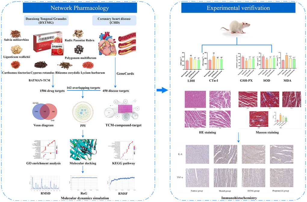 Workflow chart of DXTMG for the potential treatment of coronary heart disease based on network pharmacology.