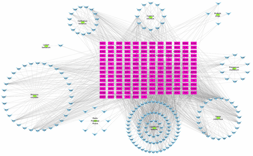 “TCM-compound-target” network diagram. (Green ovals represent TCM; blue inverted triangles represent compound; red rectangles represent targets).