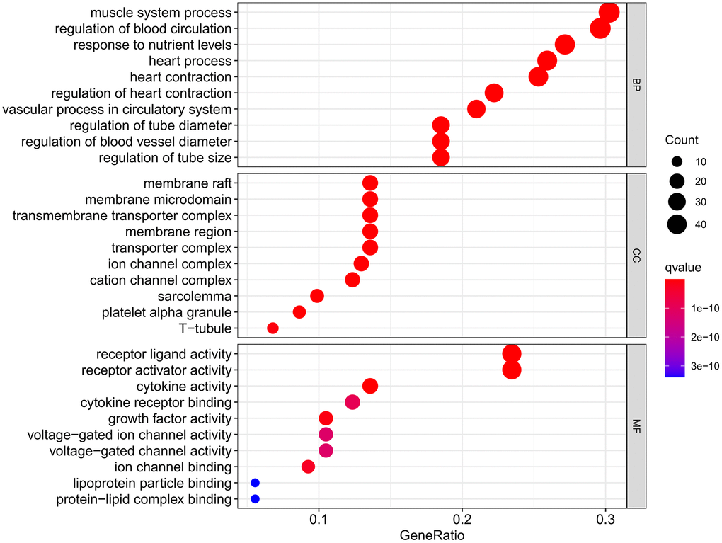 GO analysis results.