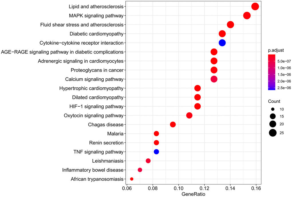 Results of KEGG pathway enrichment analysis.