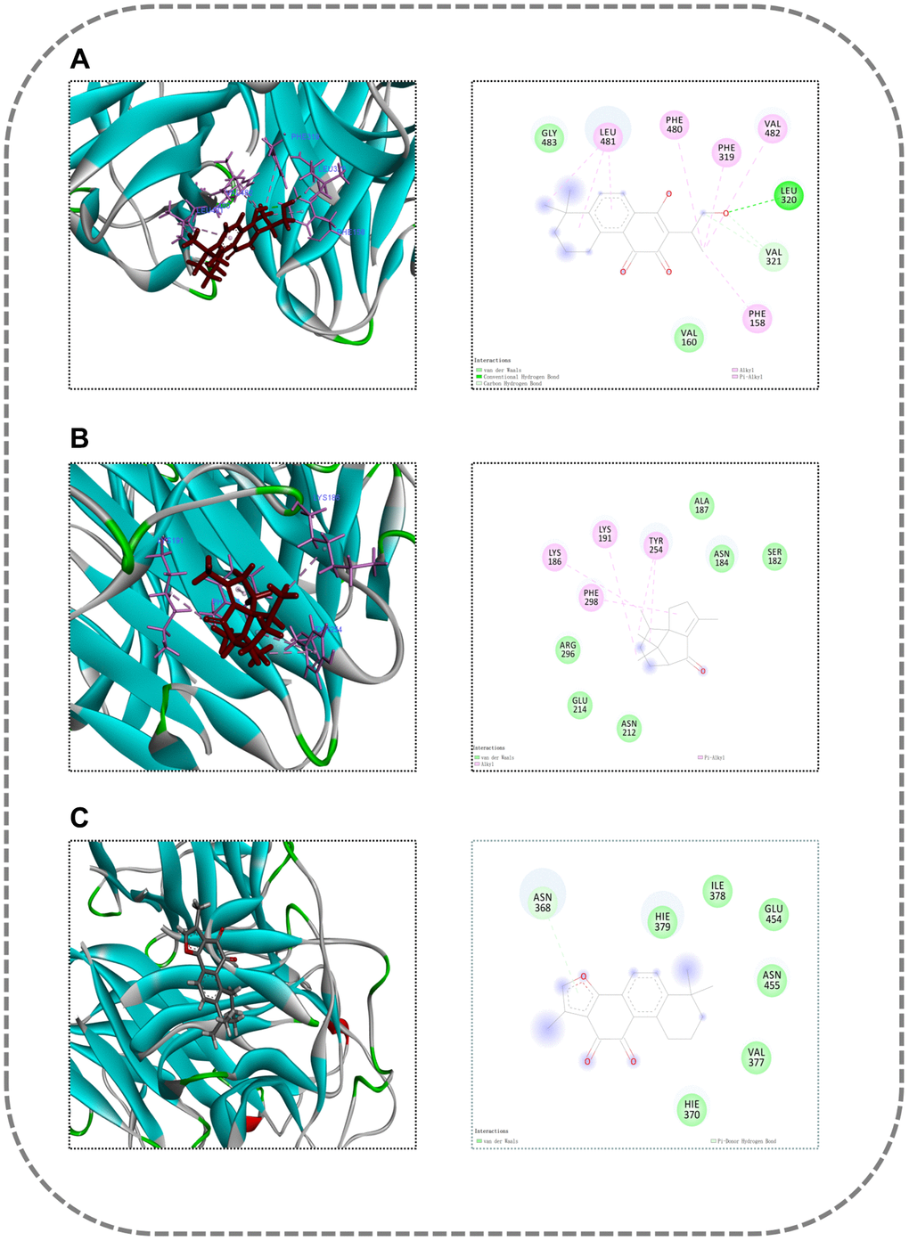 Molecular docking diagram. (A) TNF-Neocryptotanshinone II; (B) TNF-Patchoulenone; (C) TNF-Tanshinone IIA.
