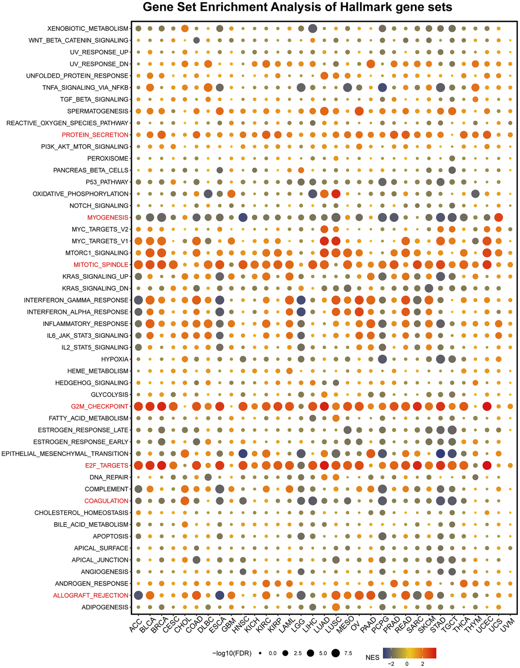 Gene set enrichment analysis of hallmark gene sets. The statement explains that in a certain analysis, circles were used to represent enriching terms in different types of cancer. The size of each circle indicated the false discovery rate (FDR) value of that term in that cancer. Additionally, the color of each circle represented the normalized enrichment score (NES) of that term in that cancer.