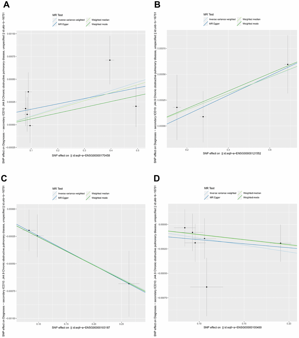 Mendelian randomization analysis between key genes and COPD. (A–D) Genes represented were CD14, CSTA, COTL1, and GZMH, respectively. Different colors indicated different statistical methods, and the slopes of the lines denoted the causal effect of each method, respectively.