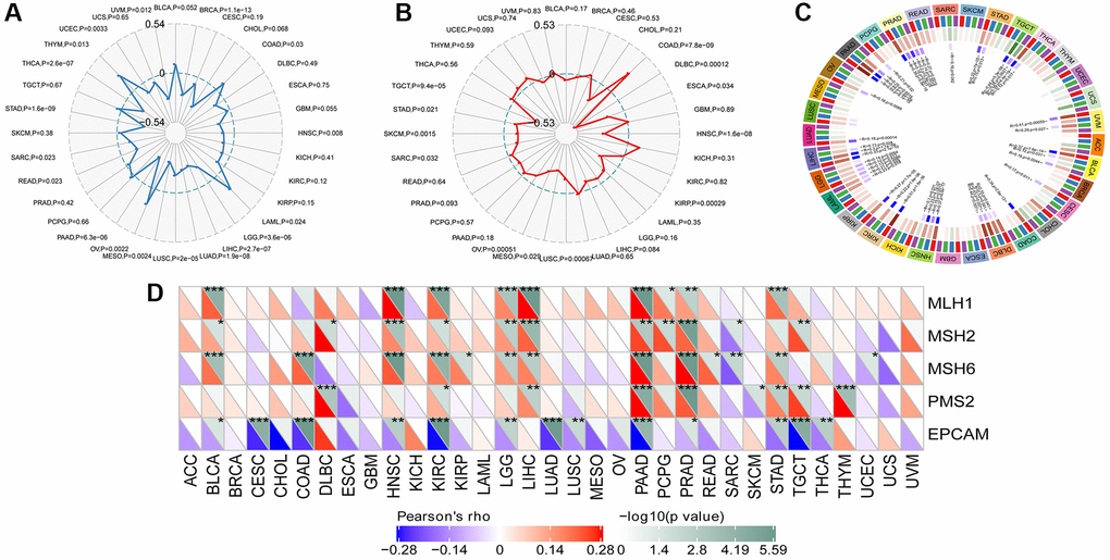Correlation analysis between SLAMF8 expression in pan-cancer and TMB, MSI, methyltransferases and MSI. (A) Correlation analysis between SLAMF8 expression in pan-cancer and TMB. (B) Correlation analysis between SLAMF8 expression in pan-cancer and MSI. (C) Correlation analysis between the expression of SLAMF8 in pan-cancer and the expression levels of four types of methyltransferases. DNMT1 is colored red, DNMT2 is colored blue, DNMT3a is colored green, and DNMT3b is colored purple. (D) Correlation analysis between SLAMF8 expression in pan-cancer and DNA repair genes.
