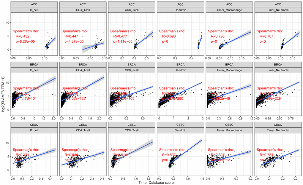 Analysis for correlation between SLAMF8 expression and tumor immune infiltration in top 3 cancers (ACC, BRCA, and CESC).