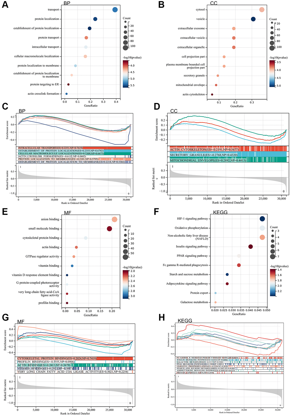 The enrichment analysis of the DEGs. (A) BP analysis by the DAVID. (B) CC analysis by the DAVID. (C) BP analysis by the GSEA. (D) CC analysis by the GSEA. (E) MF analysis by the DAVID. (F) KEGG analysis by the DAVID. (G) MF analysis by the GSEA. (H) KEGG analysis by the GSEA.