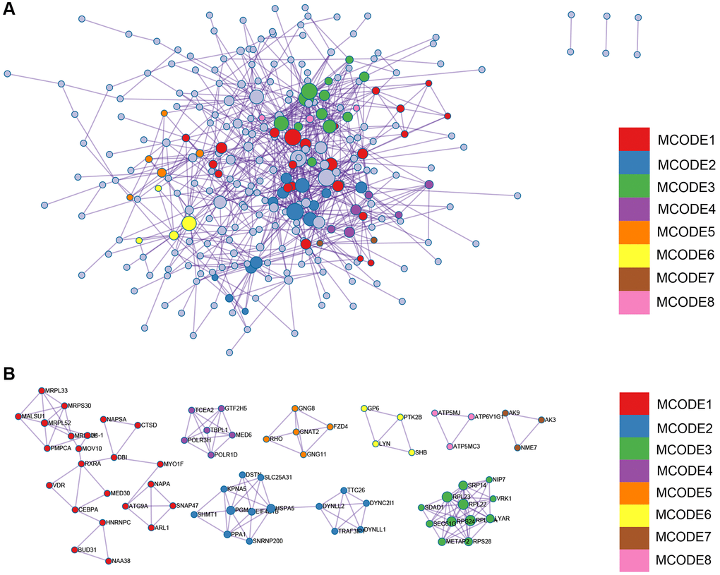 The significant modules of enrichment terms. (A) protein-protein interact network of the DEGs divided into different modules. (B) MCODE networks.