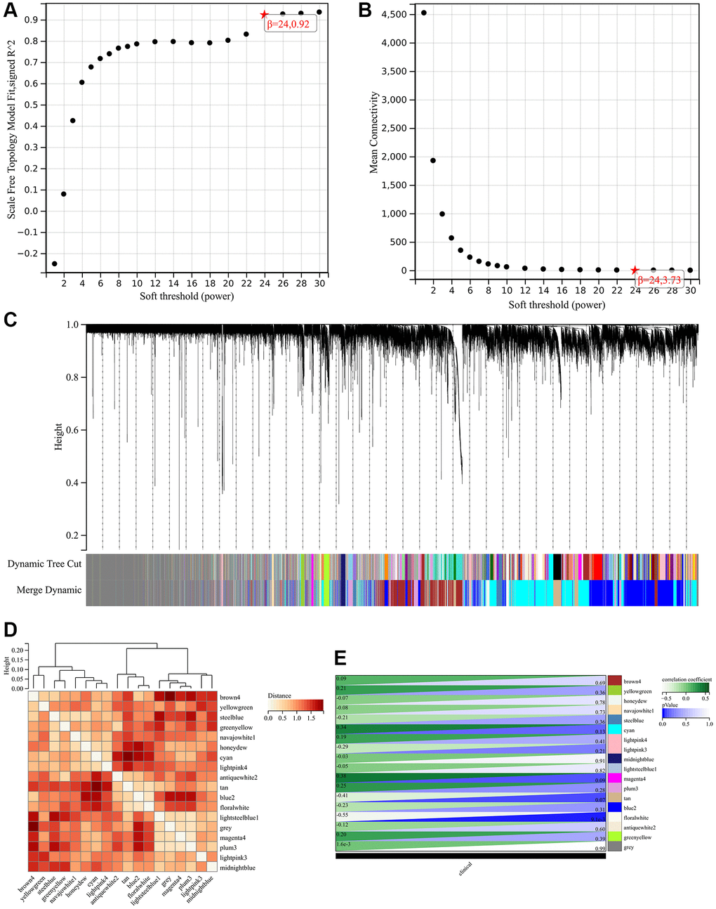 Weighted gene co-expression network analysis to identify hub genes of the hypertension. (A, B) Soft threshold (power) and the β = 24. (C) Dynamic tree cut. (D) The correlation among the different modules. (E) The relationships between hypertension and significant modules.