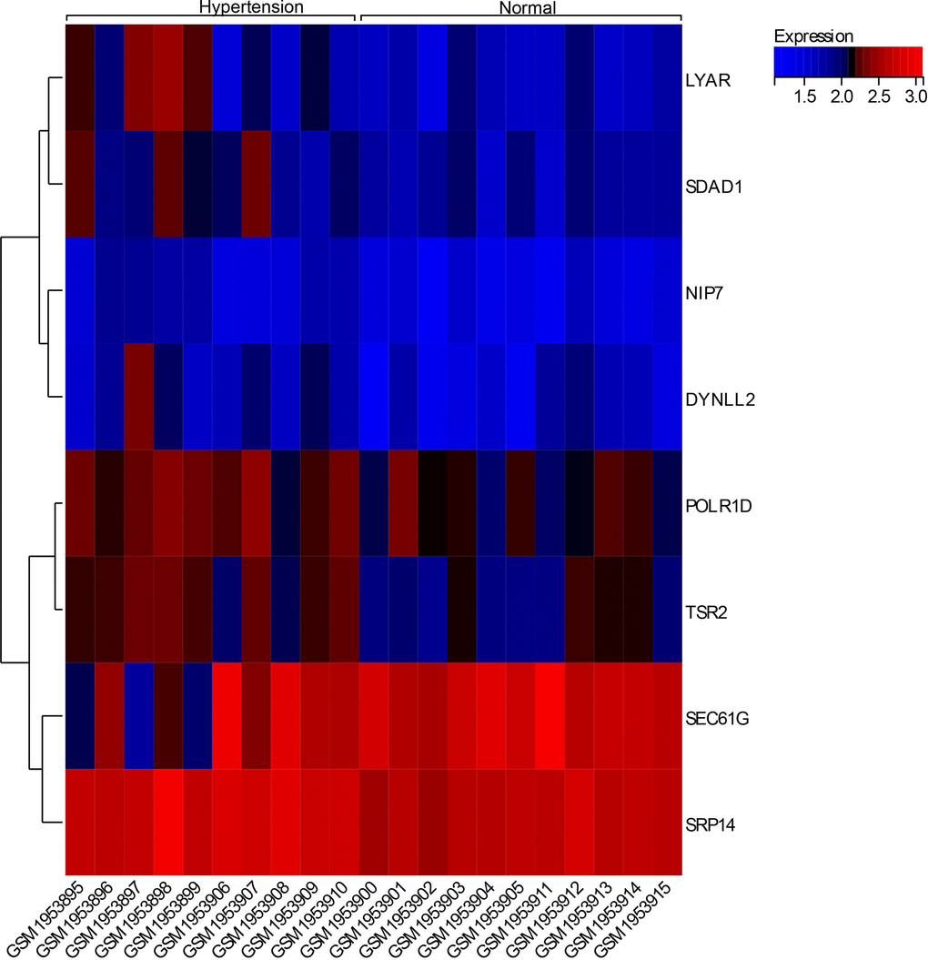 Expression calorigram of hub genes in the samples.