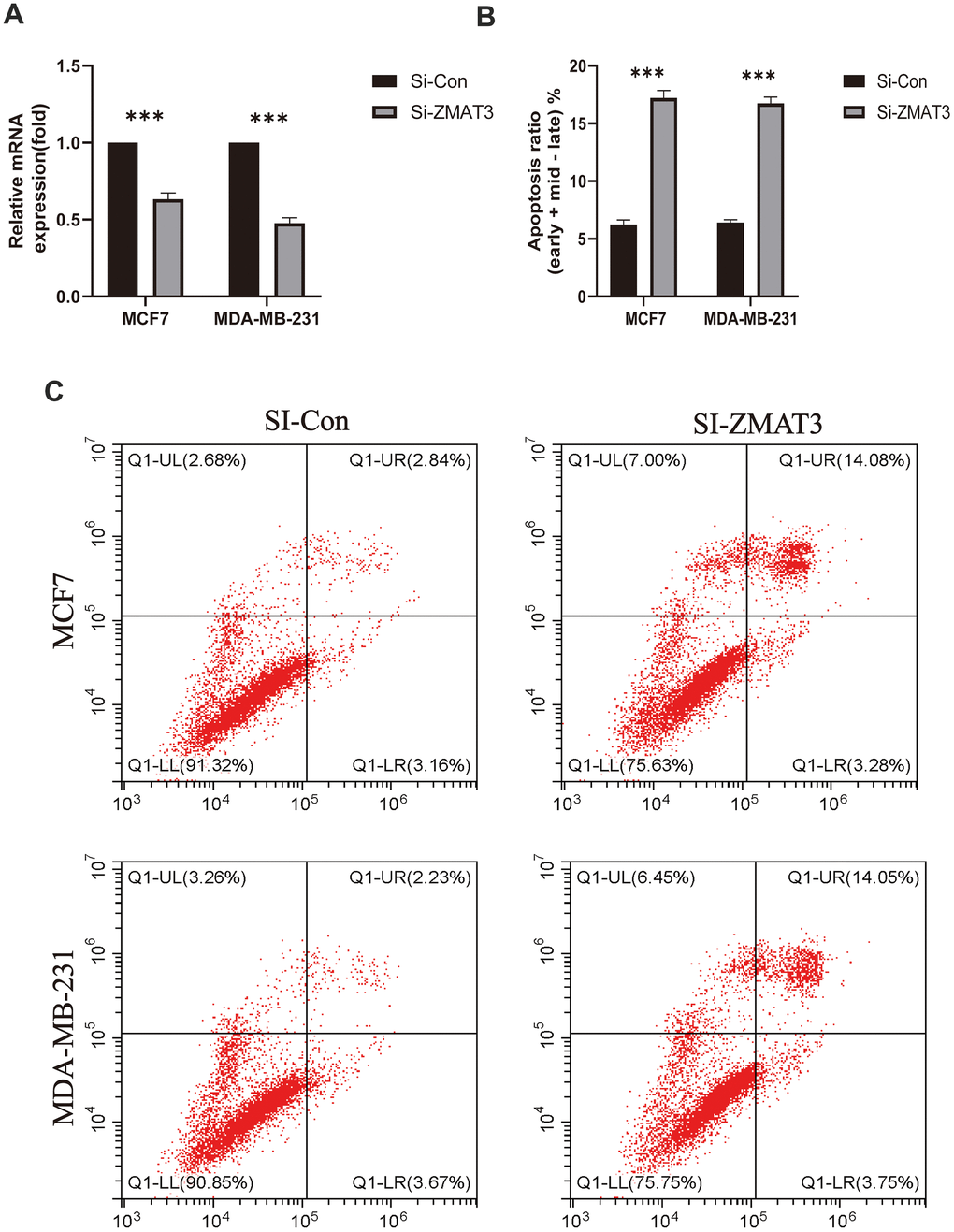 (A) qPCR was used to detect ZMAT3 expression. (B) Apoptosis ratio (early/late) % of each group. (C) Results of flow cytometry for each group.