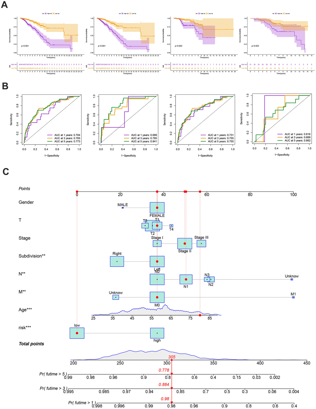 (A) The Kaplan-Meier analysis of high and low risk group in the entire cohort, training and testing sets, respectively. P-values calculated by log-rank test. (B) The ROC curves for the 1-, 3-, and 5-year AUC values in the entire cohort, training, and testing sets, respectively. (C) Nomogram based on risk score and clinical variables was reliable and sensitive for predicting survival in patients with BC.