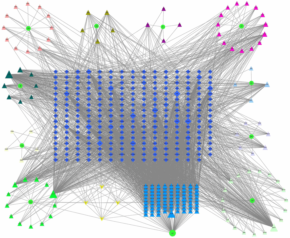 Network of “JFG-Ingredient-Target”. Circle represent 11 herbs in JFG, triangles represent active components, diamonds represent target genes, A, B, C, D represent the common ingredients of 11 medicinal materials in JFG. Notopterygium incisum Ting ex H. T. Chang (Qianghuo, QH), Aurantii Fructus (Zhiqiao, ZQ), Poria cocos (Fuling, FL), Saposhnikovia divaricata (Turcz.) Schischk. (Umbelliferae) Schischk. (Fangfeng, FF), Platycodon grandiflorus (Jacq.) A.DC. (Jiegeng, JG), Heracleum hemsleyanum Diels (Duhuo, DH), Peucedanum praeruptorum Dunn (Qianhu, qH), Glycyrrhiza uralensis Fisch. (Gancao, GC), Radix Bupleuri (Chaihu, CH), Ligusticum chuanxiong Hort. (Chuanxiong, CQ), Nepeta cataria L. (Jingjie, JJ).