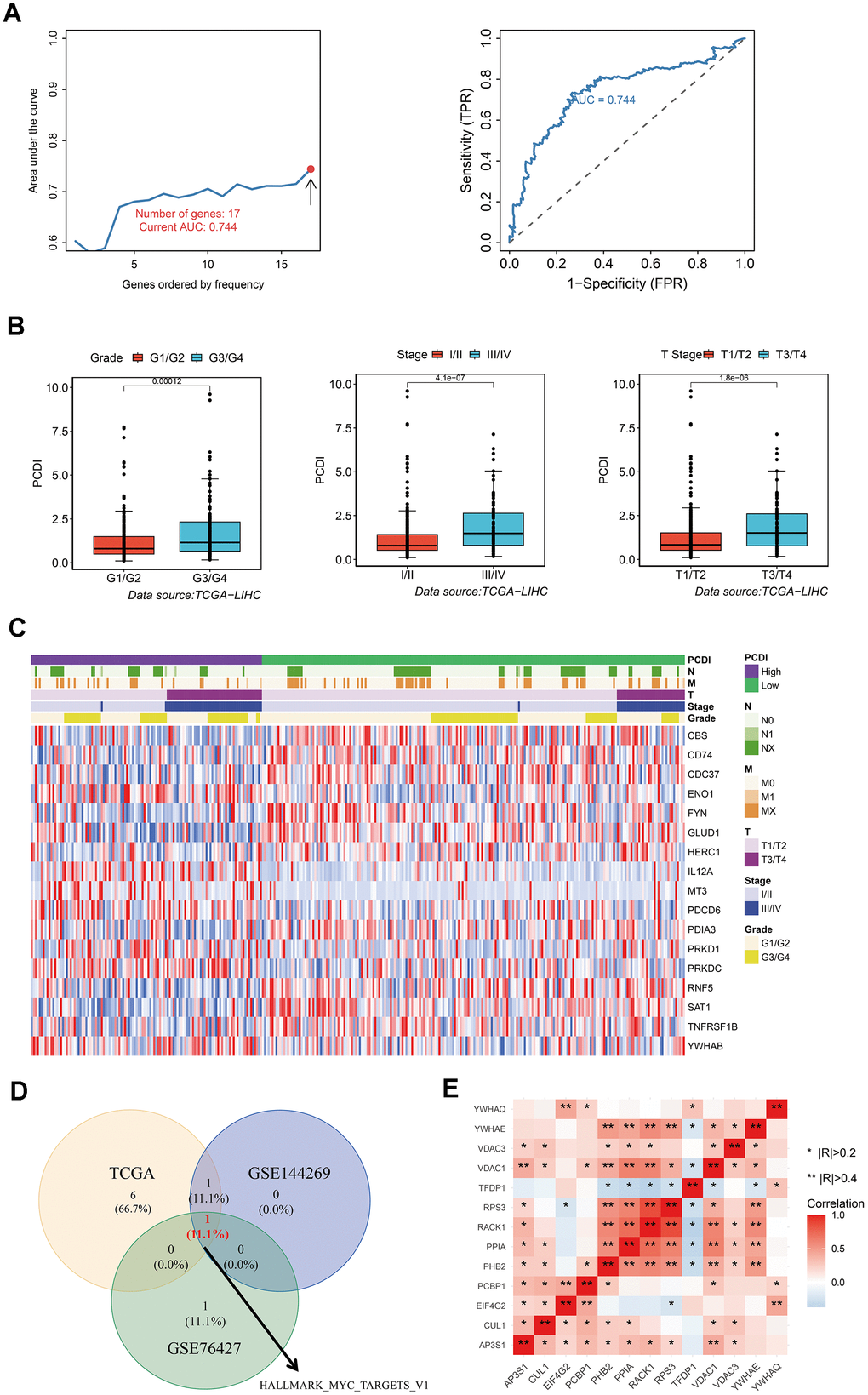 Development of a reliable programmed cell death index (PCDI). (A) A comparison of the AUC values for various models and the AUC of the final PCDI is presented. (B) Box plots demonstrate the correlation between PCDI and clinical features such as Grade, Stage, and T. (C) Heatmap displays the expression of PCD genes in the model. (D) Venn diagram illustrates the overlap of enriched hallmark pathways in three datasets (TCAG, GSE144269, and GSE76427). (E) Correlation analysis of genes within the HALLMARK