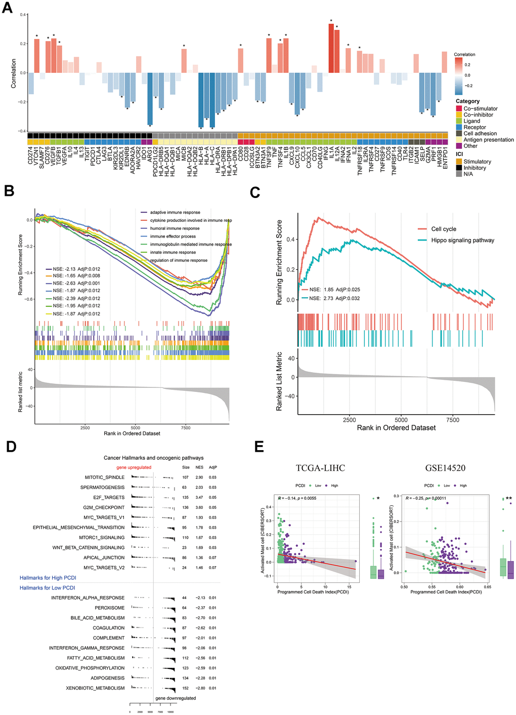 Exploration of the potential mechanism of PCDI. (A) Bar plot illustrating the correlation between immunomodulators and PCDI in the TCGA dataset. (B) GO enrichment analysis of immune response-related pathways in the two PCDI groups. (C) KEGG enrichment analysis of immune response-related pathways in the two PCDI groups. (D) Gene set enrichment analysis (GSEA) highlighting hallmark pathways in the two PCDI groups. (E) Correlation analysis between the fraction of activated Mast cells calculated by CIBERSORT and PCDI in the TCGA and GSE14520 datasets. (*P 